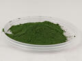 Dolfa Groen HK